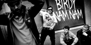 Birdy Nam Nam